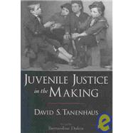 Juvenile Justice in the Making
