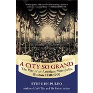 A City So Grand: The Rise of an American Metropolis, Boston 1850-1900