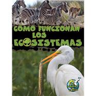 Cómo funcionan los ecosistemas / How Ecosystems Work