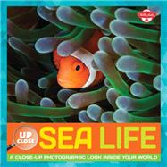 Sea Life A close-up photographic look inside your world