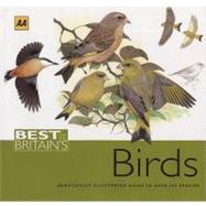 Best of Britain's Birds Beautifully Illustrated Guide to Over 250 Species