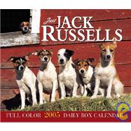 Just Jack Russells 2005 Daily Box Calendar