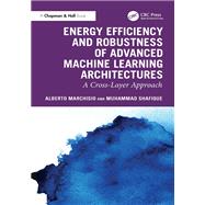 Energy Efficiency and Robustness of Advanced Machine Learning Architectures