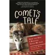 Comet's Tale