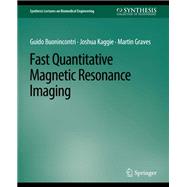 Fast Quantitative Magnetic Resonance Imaging