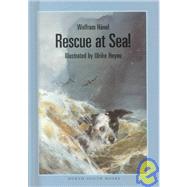 Rescue at Sea