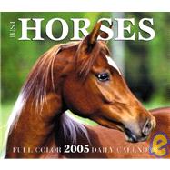 Just Horses 2005 Daily Box Calendar