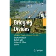 Bridging Divides