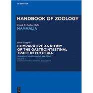 Comparative Anatomy of the Gastrointestinal Tract in Eutheria II