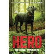 Rescue Mission