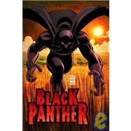 Black Panther Who is the Black Panther