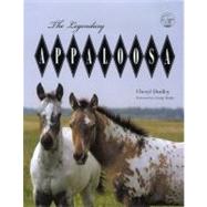 Legendary Appaloosa