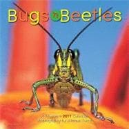 Bugs 'n Beetles 2011 Calendar