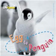 Egg to Penguin
