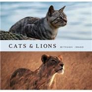 Cats & Lions