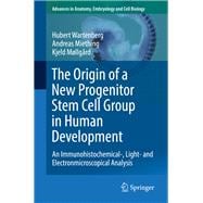 The Origin of a New Progenitor Stem Cell Group in Human Development