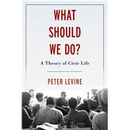 What Should We Do? A Theory of Civic Life