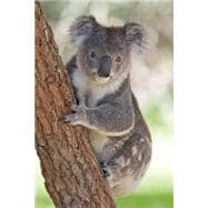 Koala Bear Journal