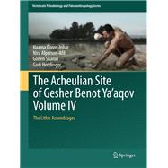 The Acheulian Site of Gesher Benot Ya‘aqov Volume IV