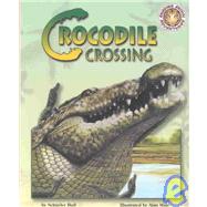 Crocodile Crossing