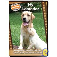 My Labrador: Everything You Need to Know About Your Labrador Retriever