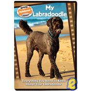 My Labradoodle: Everything You Need to Know About Your Labradoodle