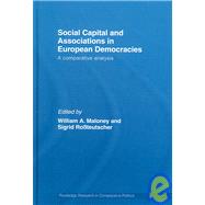 Social Capital and Associations in European Democracies: A Comparative Analysis