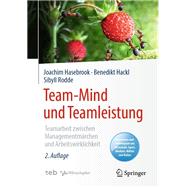 Team-Mind und Teamleistung