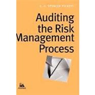 Auditing The Risk Management Process