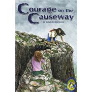 Courage on the Causeway