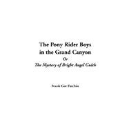 The Pony Rider Boys In The Grand Canyon Or The Mystery Of Bright Angel Gulch