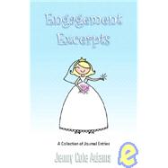 Engagement Excerpts : A Collection of Journal Entries