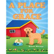 A Place for Grace book cover, ISBN 9781665750547