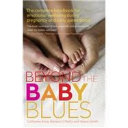 Beyond the Baby Blues 2nd Edition