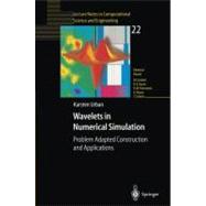 Wavelets in Numerical Simulation