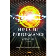 Fuel Cell Performance