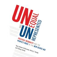 Unequal and Unrepresented
