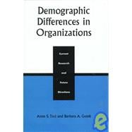 Demographic Differences in Organizations Current Research and Future Directions