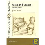 Sales and Leases: Examples and Explanations