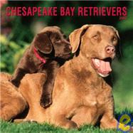 Chesapeake Bay Retrievers 2003 Calendar