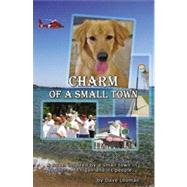 Charm of a Small Town