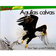 Aguilas calvas / Bald Eagles
