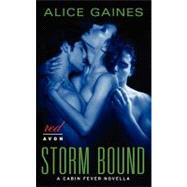 Storm Bound : A Cabin Fever Novella