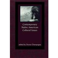Contemporary Native American Cultural Issues