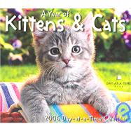 A Year of Kittens & Cats 2006 Calendar