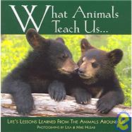 What Animals Teach Us: Life's Lessons Learned From the Animals Around Us