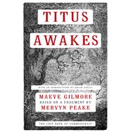 Titus Awakes The Lost Book of Gormenghast