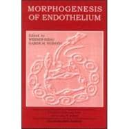 Morphogenesis of Endothelium