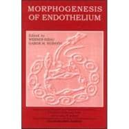 Morphogenesis of Endothelium