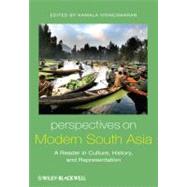 Perspectives on Modern South Asia A Reader in Culture, History, and Representation